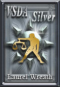 VSDA Silver award 