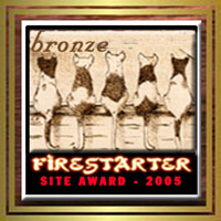 Firestarter Bronze award