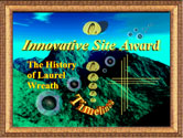 Timelines Innovative site award